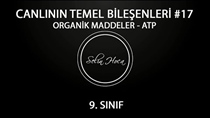 Organik Maddeler 15-ATP
